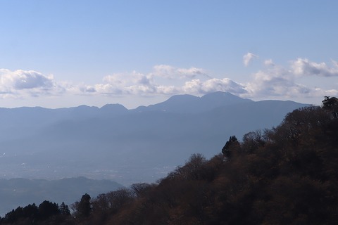 IMG_8906 - コピー