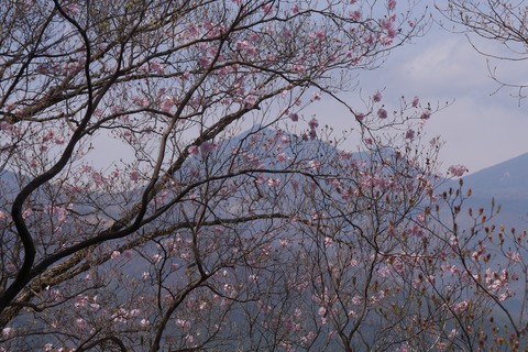 DSC01267