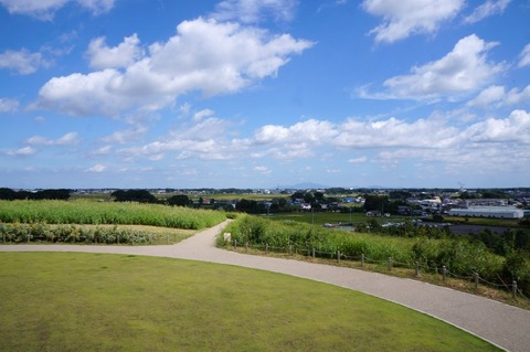 DSC07773 (2)
