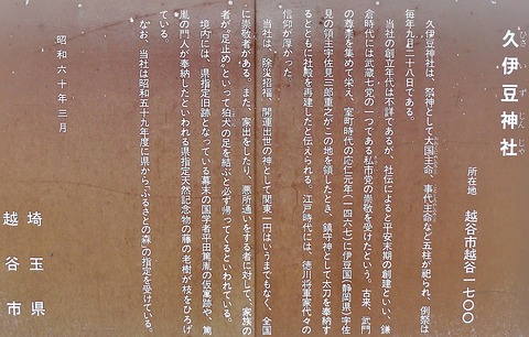 DSC04611