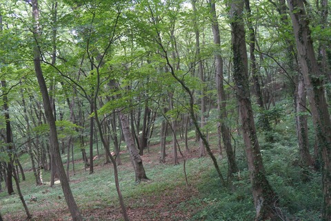 DSC07690
