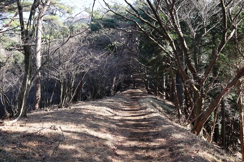 IMG_8882 - コピー