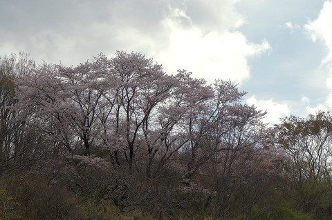 DSC06760