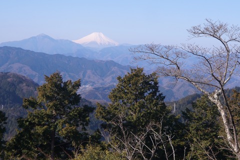 DSC00002