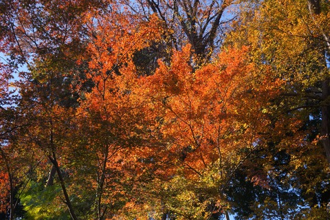 DSC03820