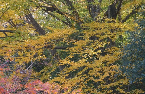 DSC05170
