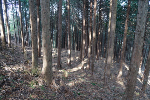 DSC09965鍵掛城下