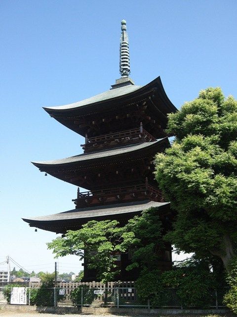 イメージ 6