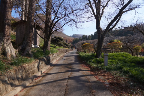 DSC03398