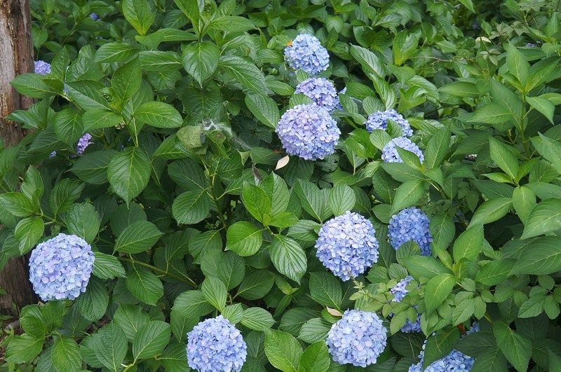 イメージ 8