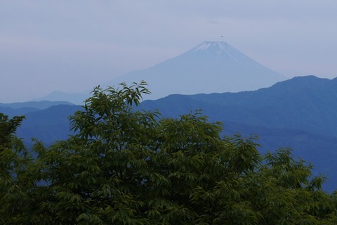 DSC01896