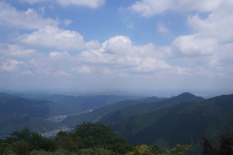 DSC02417
