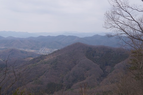 DSC00321