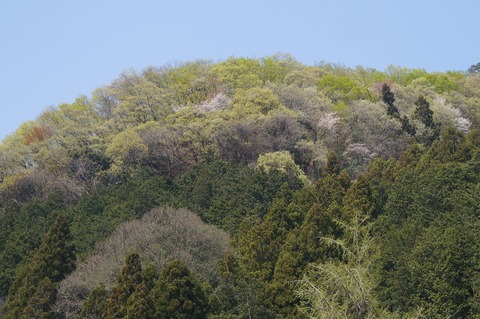 DSC07162