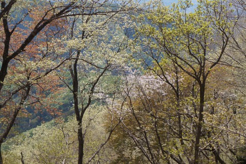 DSC07270