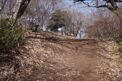 DSC00193