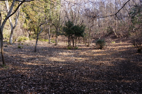 DSC09959