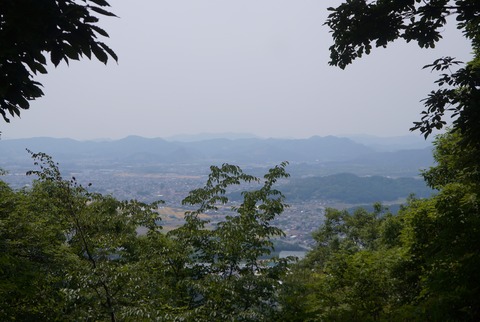 DSC07529