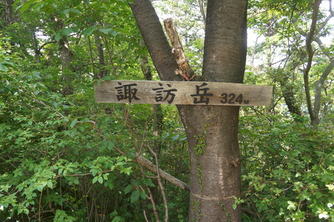 DSC07528