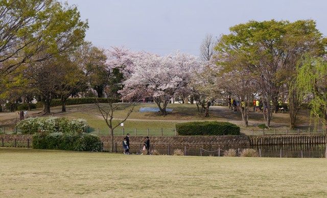 イメージ 2