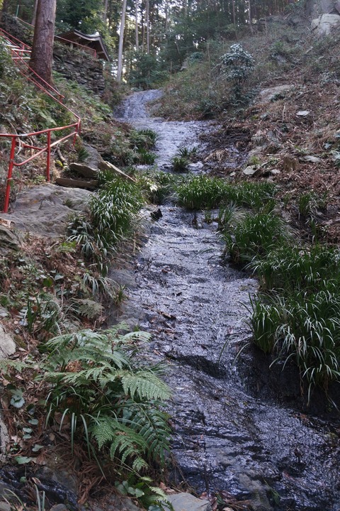 DSC00173