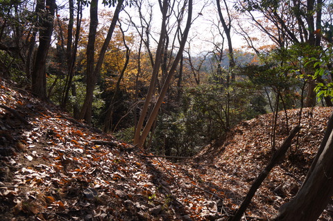DSC03416堀切2