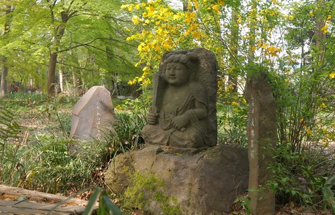 DSC00971
