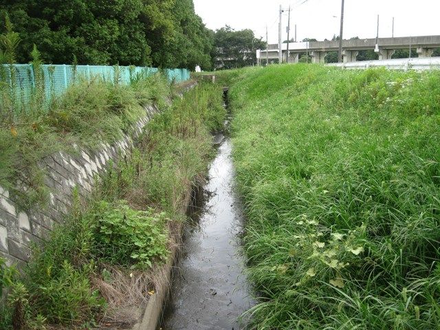 イメージ 11