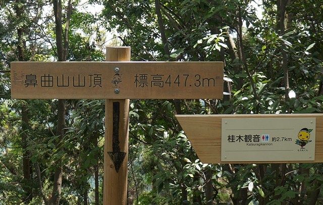 イメージ 9