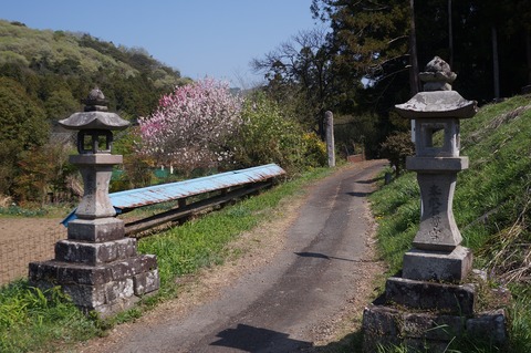 DSC07085