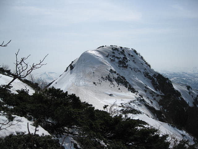 イメージ 8