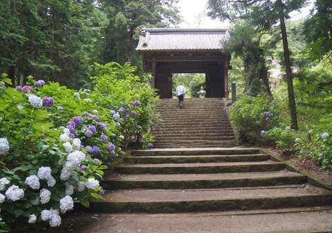 DSC02049