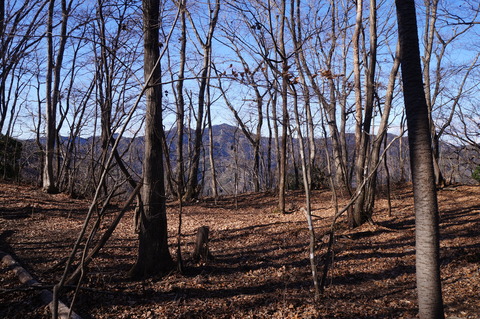 DSC09913