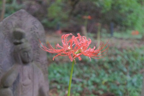DSC01506