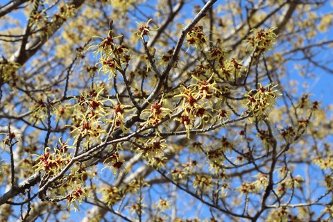IMG_5712