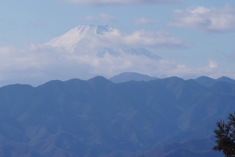 DSC09454