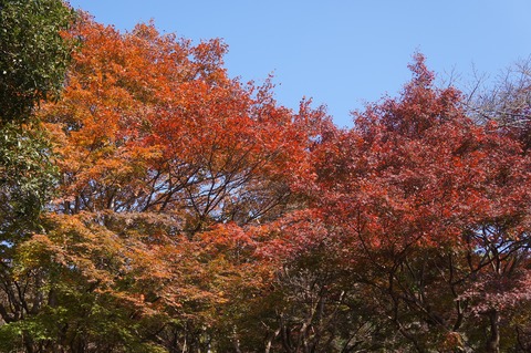 DSC04935