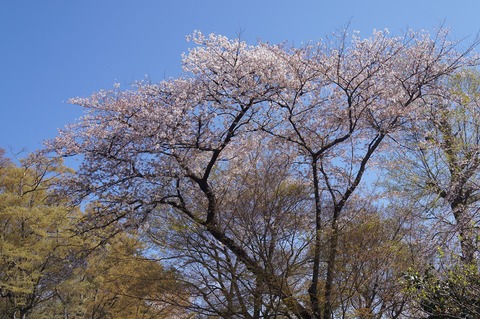 DSC06914