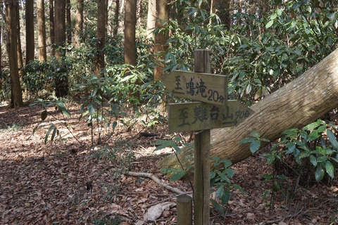 DSC00182
