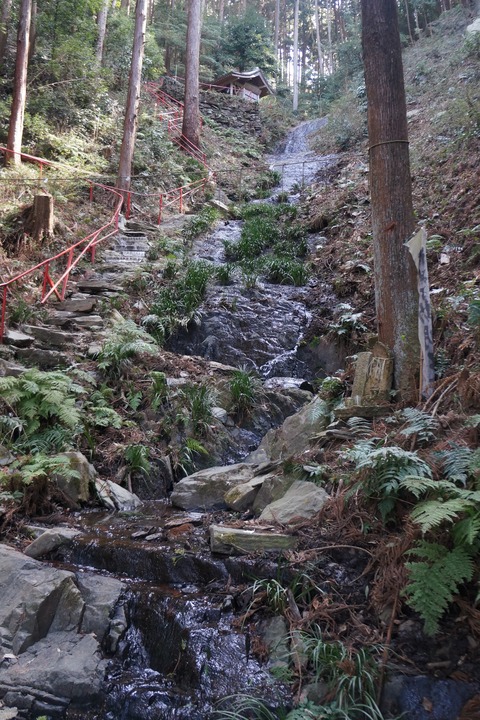 DSC00171
