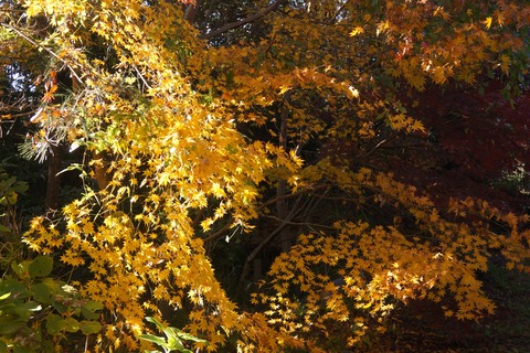 DSC04060