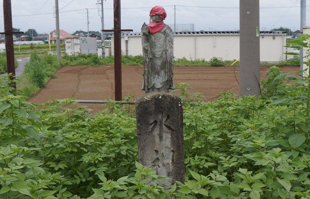 イメージ 10