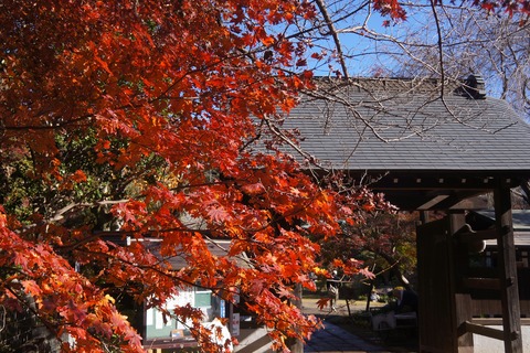 DSC03824