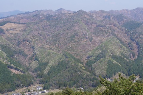 DSC07116