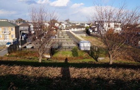 イメージ 17