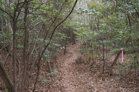 DSC00293