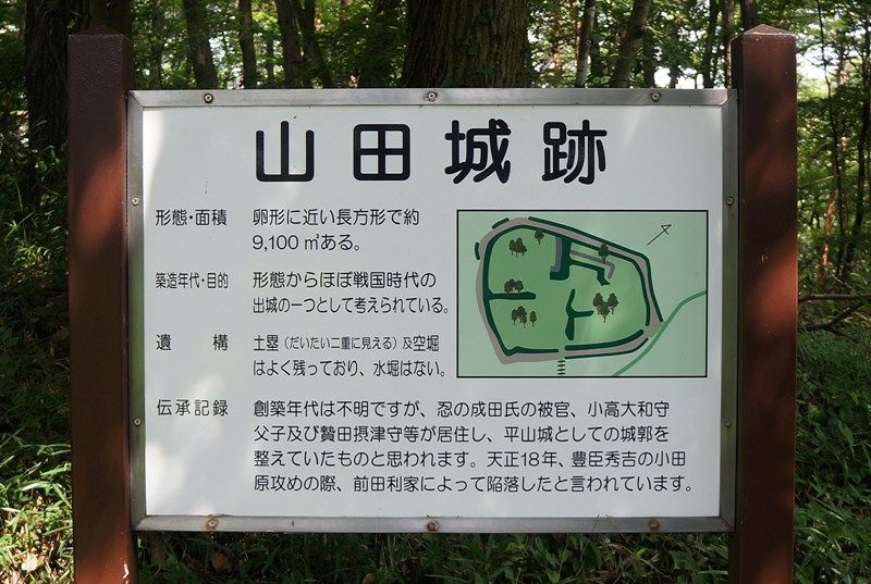 イメージ 6