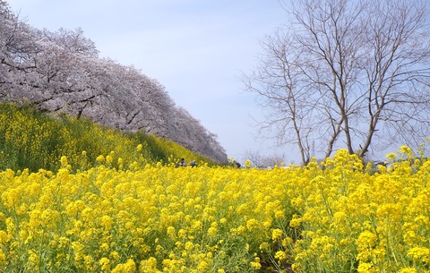 DSC04009