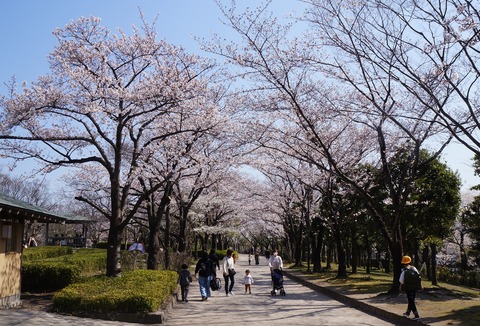 DSC00807