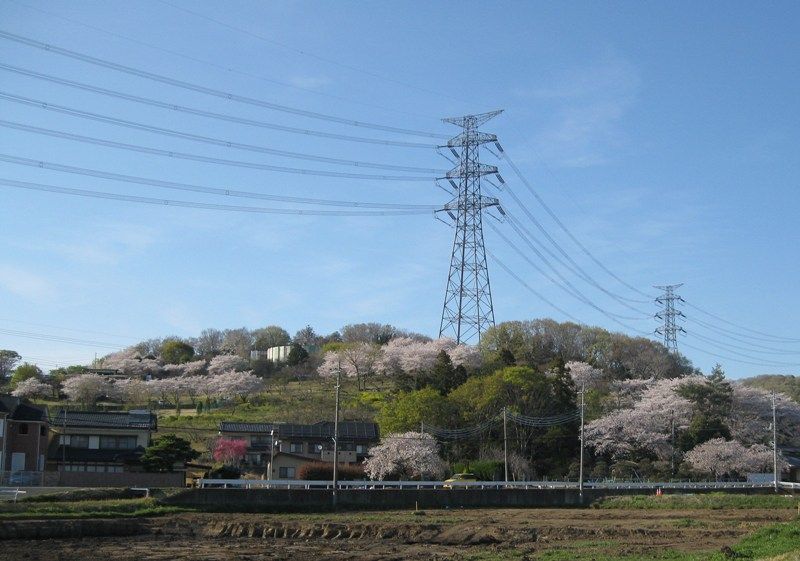 イメージ 21